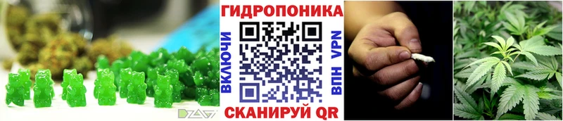 OMG tor  Шарья  Canna-Cookies марихуана 