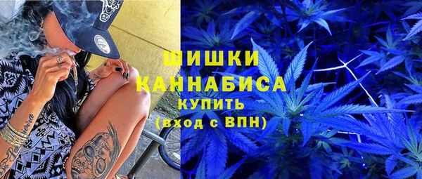 дживик Арсеньев