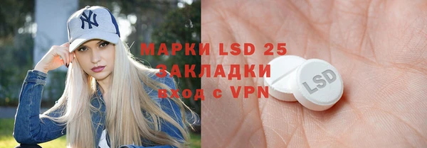 шишки Медвежьегорск