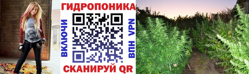 цена   Шарья  Канабис план 